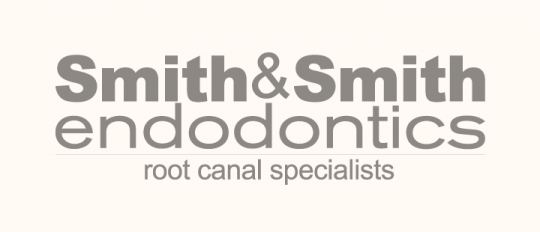 Smith & Smith Endodontics